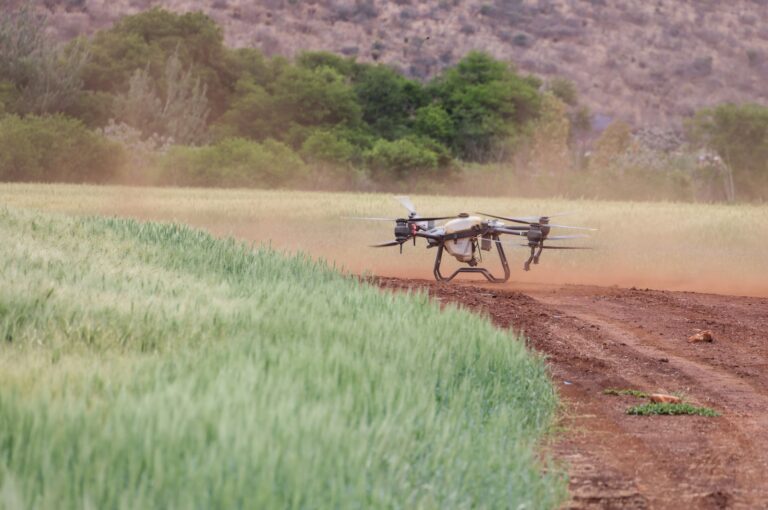 Comment les start-ups transforment-elles l&rsquo;agriculture grâce à l&rsquo;innovation ?
